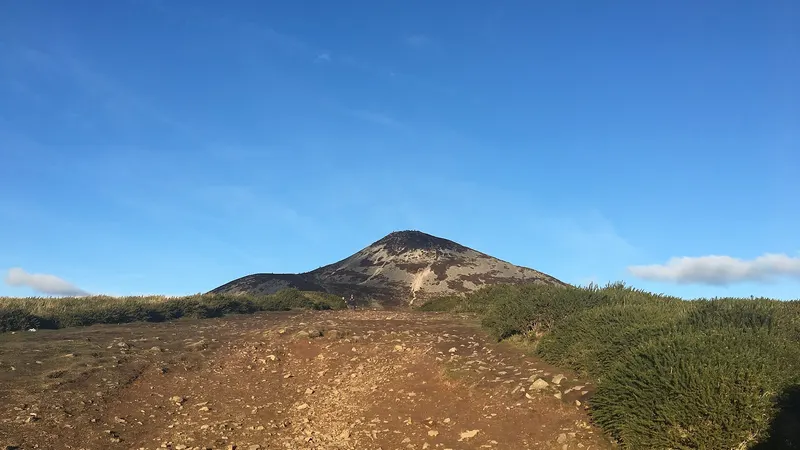 The bare cone of the Great Sugar Loaf rising out of the heather
