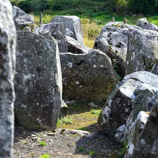 The kerbstones and chamber stones of Cohaw Court Tomb in the grass