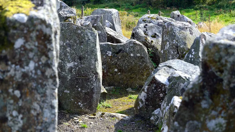 The kerbstones and chamber stones of Cohaw Court Tomb in the grass