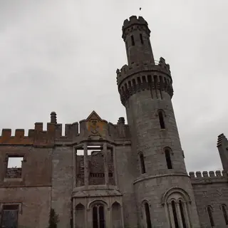The burnt out turrets and towers of Duckett's Grove against a grey sky