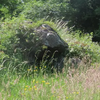 A large boulder and the capstone of Edergole Court Tomb standing in long grass