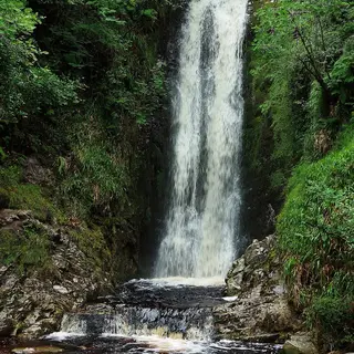 Glenevin Waterfall falling through ferns and green rock