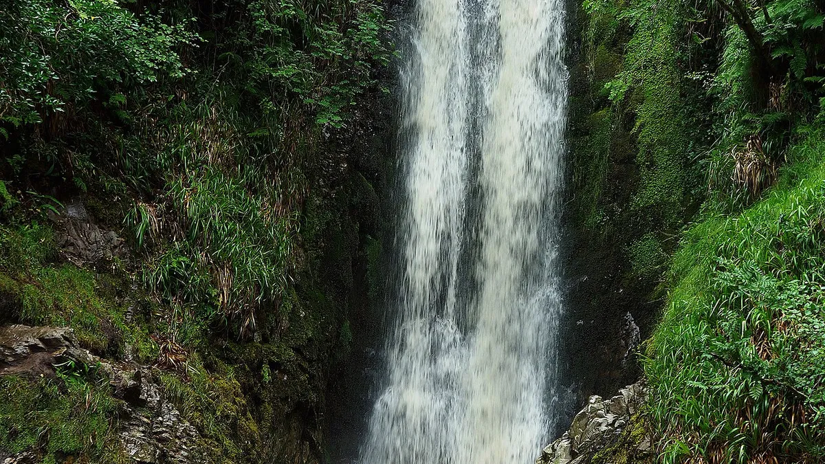 Glenevin Waterfall falling through ferns and green rock