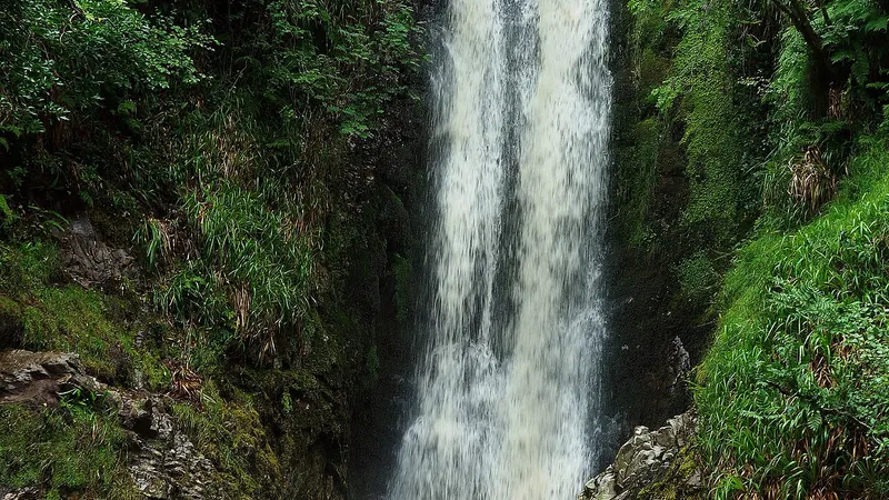 Glenevin Waterfall falling through ferns and green rock
