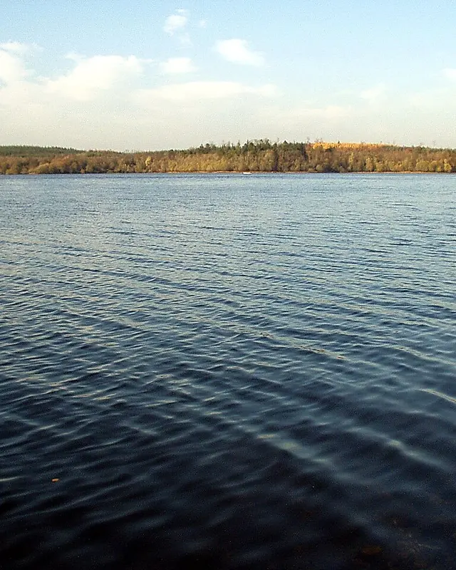 Open water and autumn woodland on the shore of Lough Oughter