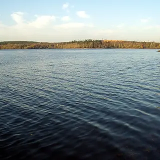 Open water and autumn woodland on the shore of Lough Oughter