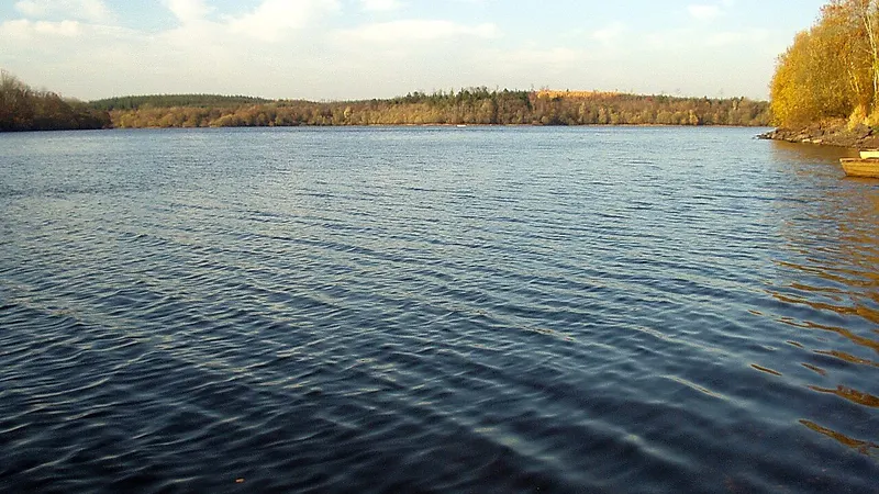 Open water and autumn woodland on the shore of Lough Oughter