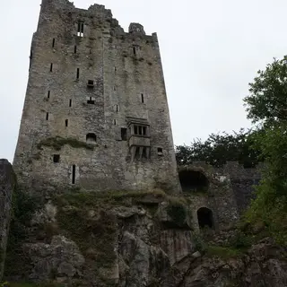 The stone keep of Blarney Castle rising above the trees