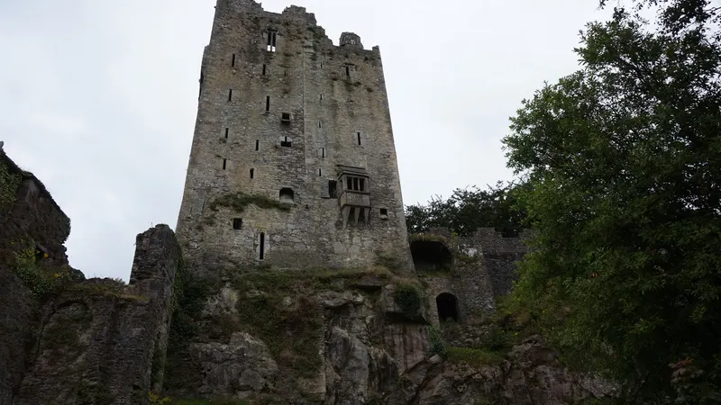 The stone keep of Blarney Castle rising above the trees