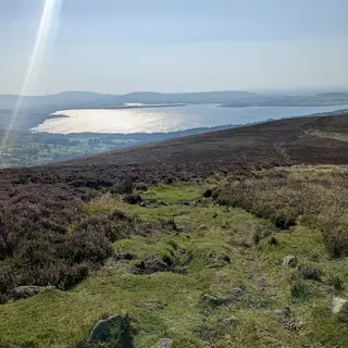 Heather and moorland running down to the Blessington Lakes