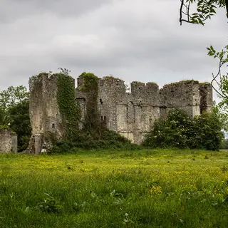 The ivy grown ruin of Rathcline Castle standing in a field of buttercups