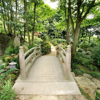 A timber bridge over the stream in the Lafcadio Hearn Japanese Gardens, Tramore