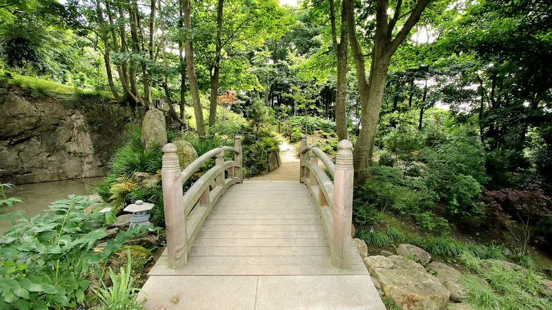 A timber bridge over the stream in the Lafcadio Hearn Japanese Gardens, Tramore