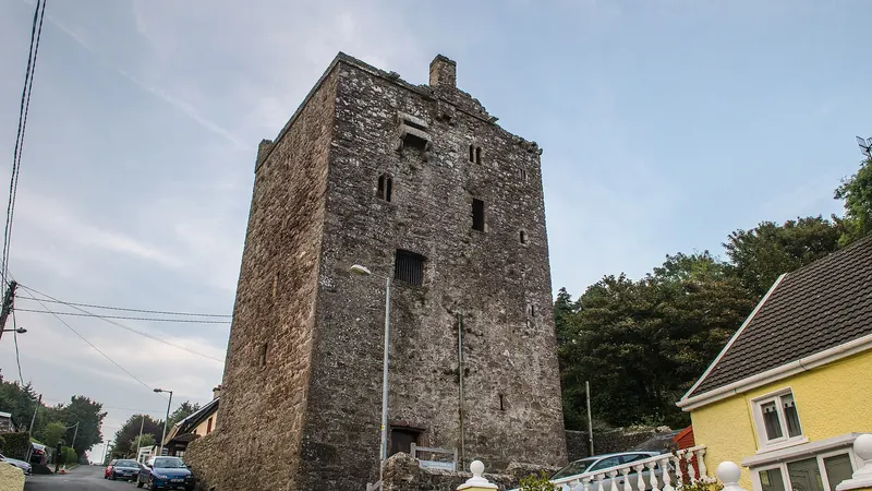 The tall tower house of Ballyhack Castle above the harbour road