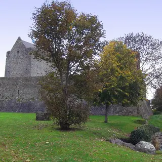 The Norman keep of Athenry Castle behind its lawn and an autumn tree