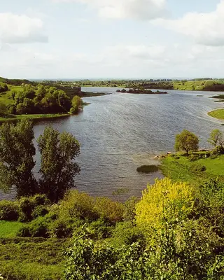 Reed beds and open water at Lough Gur, County Limerick