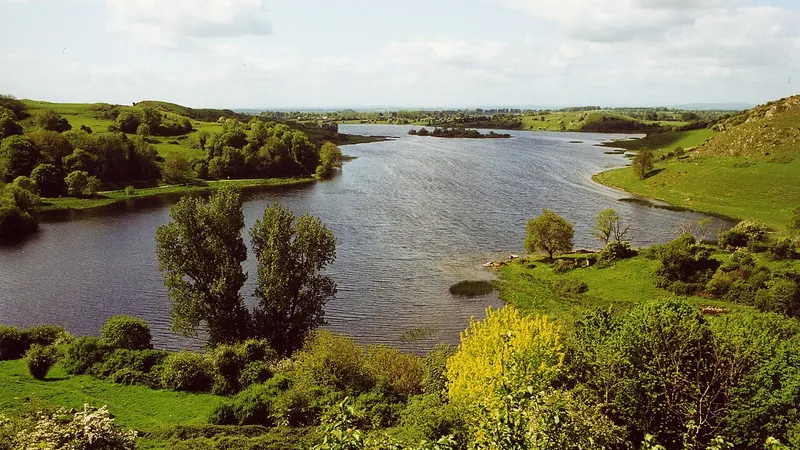 Reed beds and open water at Lough Gur, County Limerick