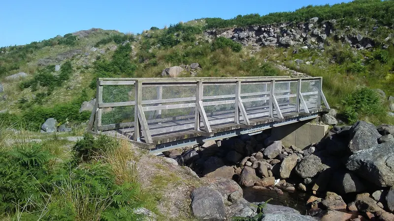 A footbridge over the stream on the Coumduala loop in the Nire Valley