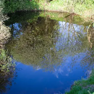 The Shannon Pot in County Cavan