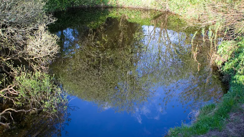 The Shannon Pot in County Cavan