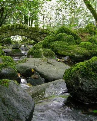 A stone arch bridge over the stream at Kilfane Glen with mossed boulders below it