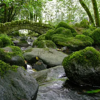 A stone arch bridge over the stream at Kilfane Glen with mossed boulders below it