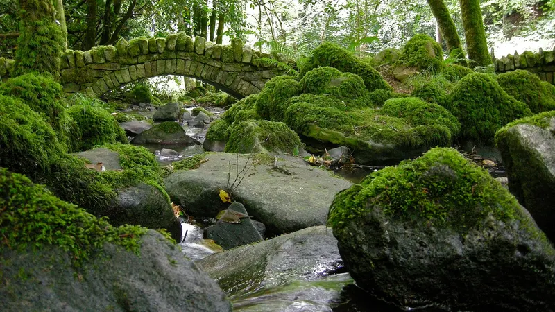 A stone arch bridge over the stream at Kilfane Glen with mossed boulders below it
