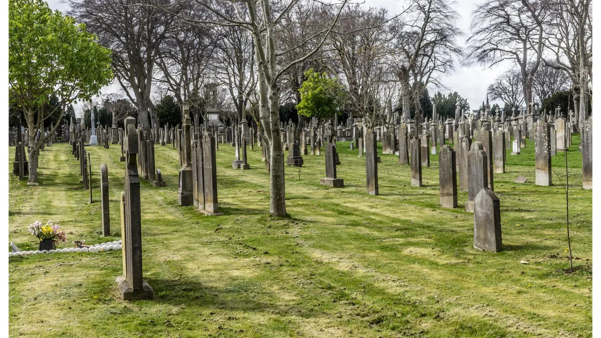 Rows of headstones under bare trees in Glasnevin Cemetery