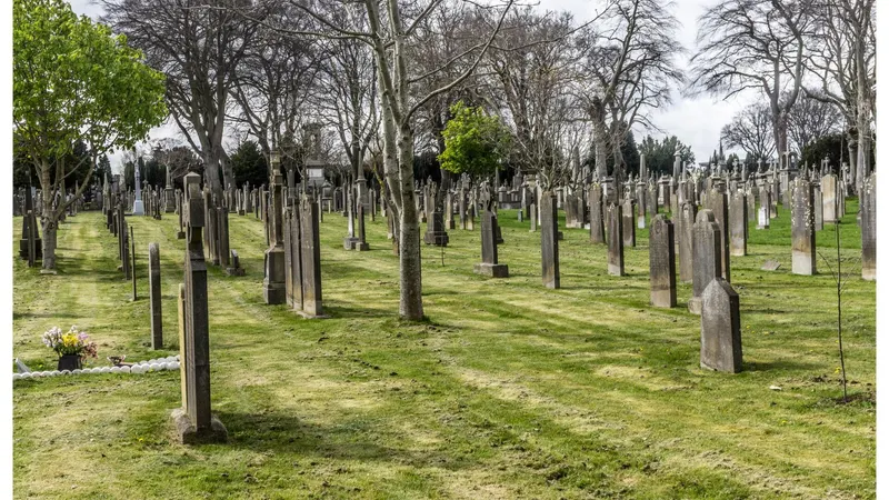 Rows of headstones under bare trees in Glasnevin Cemetery