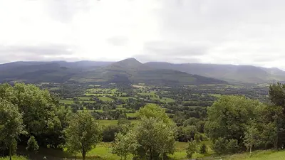 The Glen of Aherlow looking across the trees to the mountains on the far side