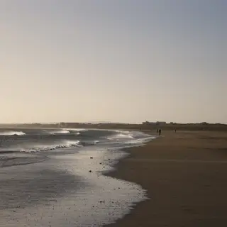 The long flat beach at Laytown at dusk with the tide out