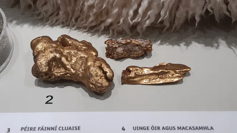Bronze age gold ornaments in a case at the National Museum of Ireland on Kildare Street