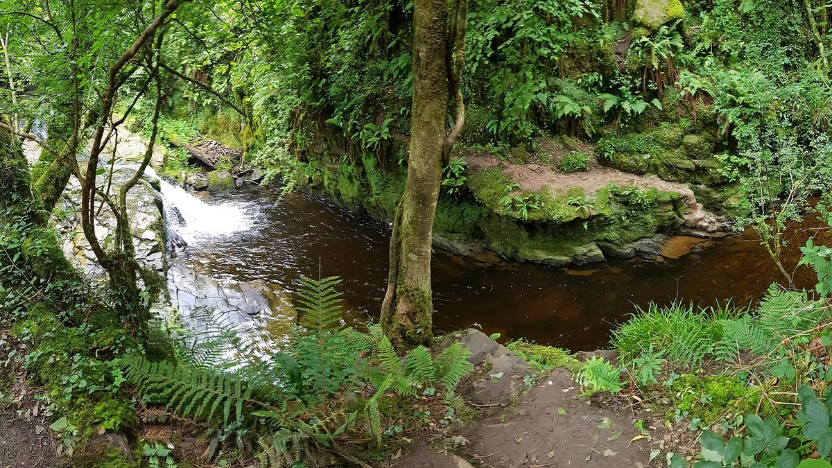 The wooded gorge of the Silver River in the glen behind Cadamstown, County Offaly