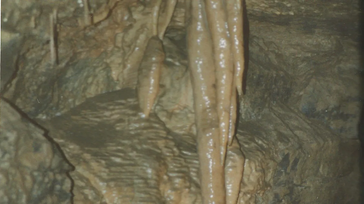 Stalactites hanging in a chamber of Aillwee Cave