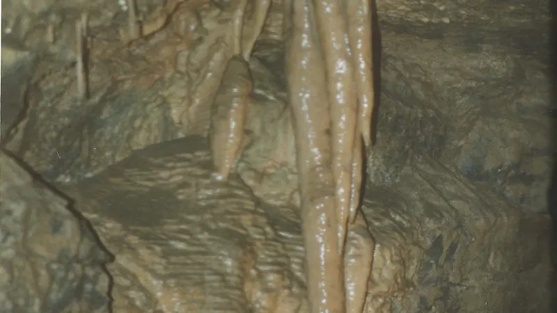 Stalactites hanging in a chamber of Aillwee Cave
