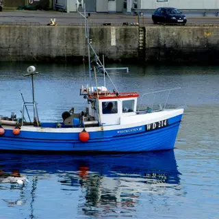 A blue fishing boat lying against the harbour wall at Kilmore Quay