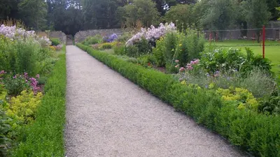 A gravel walk between deep herbaceous borders at Woodstock Gardens