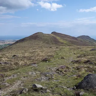 The heathery summit ridge of Barnavave with Carlingford Lough below