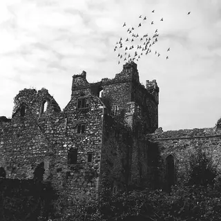 The ruined walls of Dunbrody Abbey with birds overhead, County Wexford
