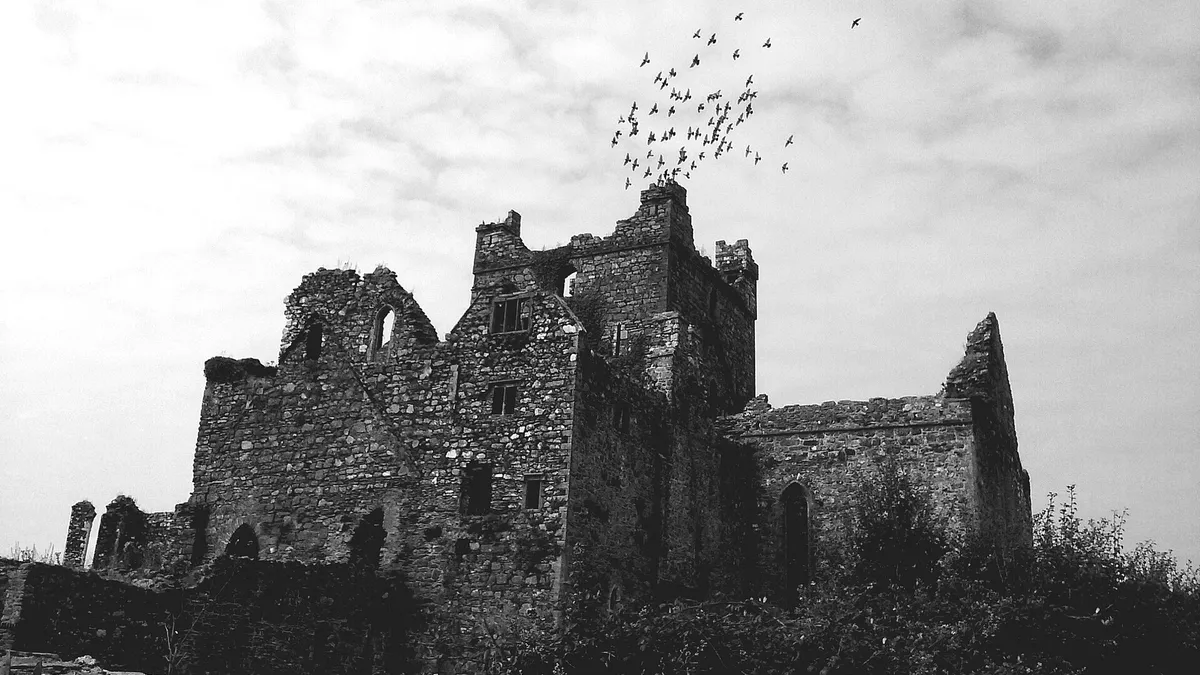 The ruined walls of Dunbrody Abbey with birds overhead, County Wexford