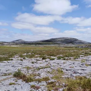 Bare limestone pavement in the Burren with the hill of Mullaghmore behind