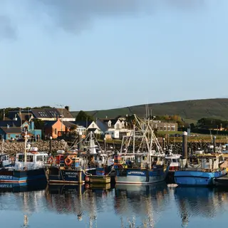 Fishing boats tied up in Dingle harbour below the coloured houses