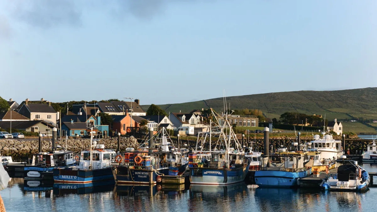 Fishing boats tied up in Dingle harbour below the coloured houses