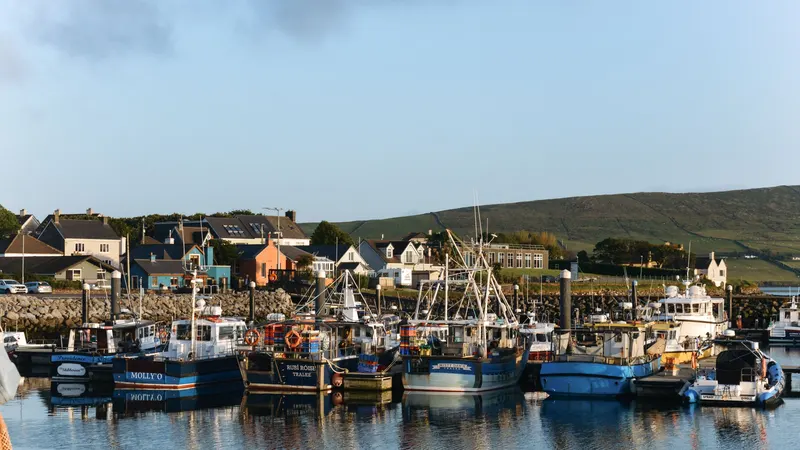 Fishing boats tied up in Dingle harbour below the coloured houses