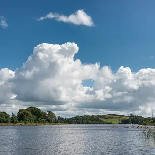 Reeds and open water on Lough Muckno under a big summer sky