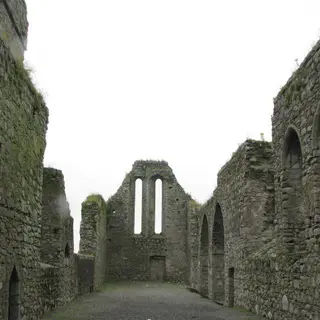 The roofless nave and arcade of the Franciscan friary at Castledermot