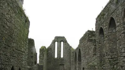 The roofless nave and arcade of the Franciscan friary at Castledermot